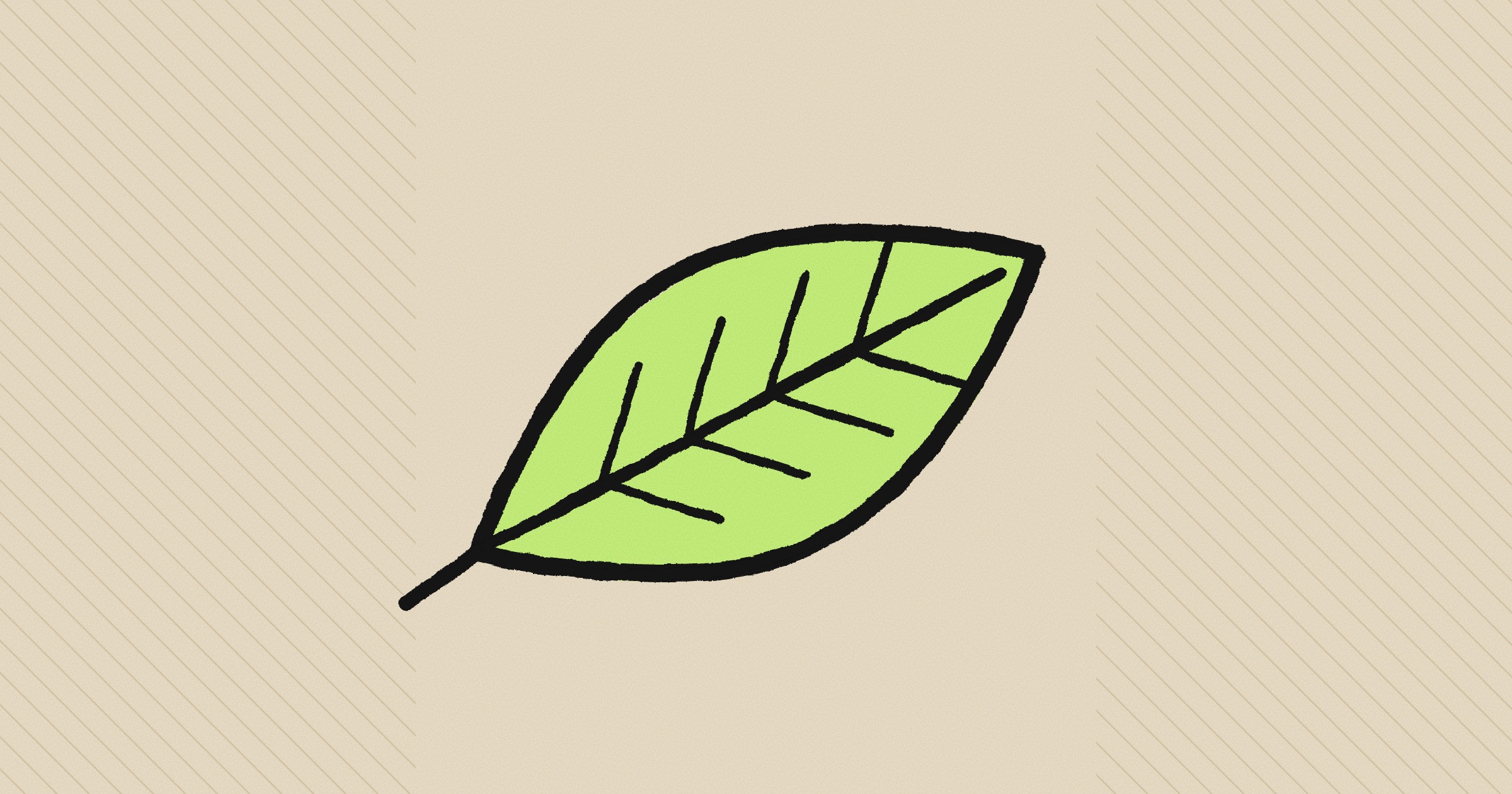 A hand-drawn lime leaf with ink veins, tilted, on a sand-colored background with fine diagonal lines at both sides